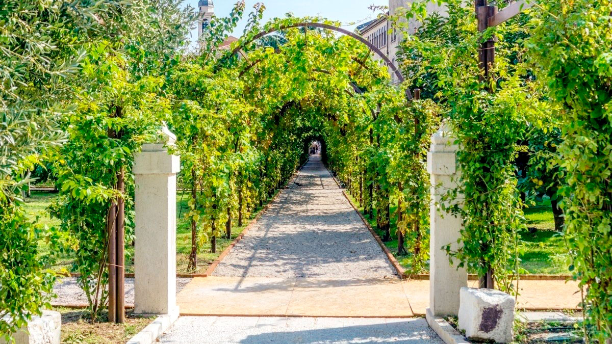 Garden of the Scalzi Convent